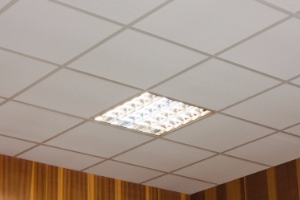 Devis Faux plafond, Suisse